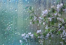 Meteorologii anunță ploi, lapoviță și ninsoare. Se răcește vremea!