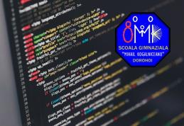 Doi elevi de la Școala „Mihail Kogălniceanu” Dorohoi vor reprezenta județul la Olimpiada Națională de Informatică