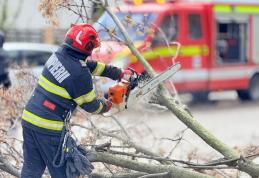Tencuială desprinsă de pe blocuri, copaci doborâți, localități fără curent electric din cauza vântului. Pompierii au intervenit 