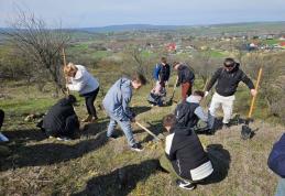 Colegiul Național „Grigore Ghica” Dorohoi - Amplă activitate de împădurire