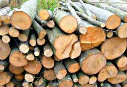 Material lemnos confiscat la Șendriceni
