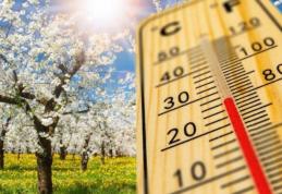 Cum va fi vremea în minivacanța de 1 Mai. Prognoza meteo pentru ultima lună de primăvară