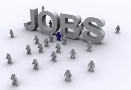 Peste 360 de locuri de muncă vacante la nivelul județului Botoșani