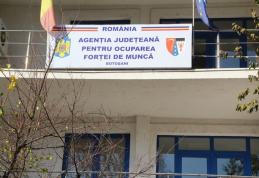 Peste 4500 de șomeri înregistrați în evidenţele AJOFM Botoșani la sfârșitul lunii martie