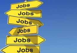 AJOFM Botoșani anunță peste 250 locuri de muncă vacante în Uniunea Europeană