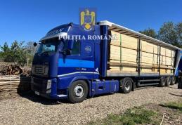 Peste 50 de metri cubi de material lemnos confiscat de polițiști în comuna Suharău