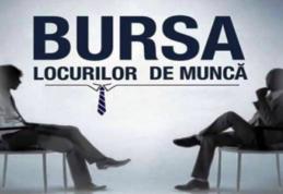 AJOFM Botoșani organizează Bursa Generală a Locurilor de Muncă 2025