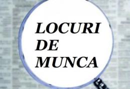 Locuri de muncă vacante și programe de formare pentru care se organizează înscrieri în săptămâna 12-18 aprilie la Botoșani