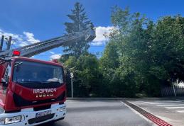 Pompierii au intervenit pentru tăierea unui copac aflat în pericol de prăbușire pe o stradă din Dorohoi