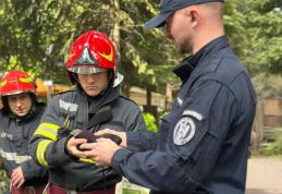 Jandarmii și pompierii au salvat un pui de gaiță, aflat în pericol