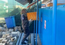 Roi de albine capturat de jandarmii botoșăneni