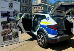 Compartimentul de poliție canină – Dotări moderne pentru intervenții eficiente