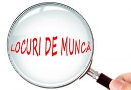 Locuri de muncă vacante și programe de formare pentru care se organizează înscrieri în săptămâna 2-8 iunie la Botoșani
