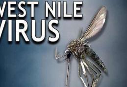 Direcţia de Sănătate Publică Botoşani: Ce trebuie să știm despre tânțari