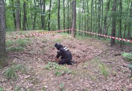 Element de muniție găsit într-o pădure din județ