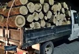 Material lemnos fără documente confiscat de polițiști la Pomârla