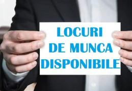 Locuri de muncă vacante și programe de formare pentru care se organizează înscrieri în săptămâna 16-22 iunie la Botoșani