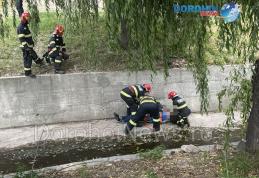 Un bărbat a căzut în Pârâul Dorohoi, în zona centrală. Pompierii au intervenit pentru scoaterea acestuia