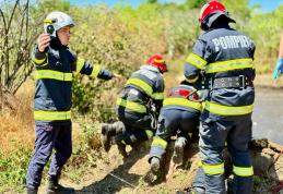 Un bărbat a murit într-o fosă, după ce a încercat să salveze un vițel 