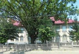 CONTED Dorohoi angajează electrician, fochist și constructor șabloane – industria textilă