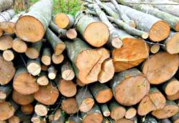 Amendă de 2.000 de lei și material lemnos confiscat