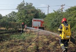 În ultimele ore pompierii au intervenit pentru stingerea a nouă incendii de vegetație uscată