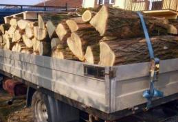 Material lemnos confiscat la Ibănești