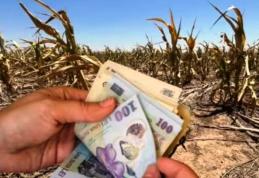 Atenție fermieri! Actul trebuie depus la Primărie până pe 1 august. Riști să pierzi banii dacă nu îl ai