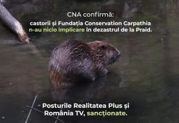 CNA sancționează televiziunile care au promovat dezinformarea privind castorii și Salina Praid
