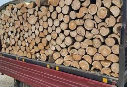 Material lemnos confiscat de polițiști la Leorda