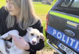 84 de ani are femeia filmată în timp ce târâia un cățel legat. Polițiștii a identificat-o și au amendat-o