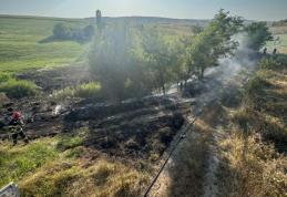 Două incendii de vegetație uscată produse în urma folosirii focului, lăsat nesupravegheat