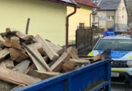 Amenzi de peste 15.000 lei în urma unei acțiuni a polițiștilor pentru prevenirea faptelor ilegale în domeniul silvic
