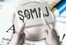 3,69% - rata şomajului înregistrat în evidenţele AJOFM Botoșani în luna iulie 2025