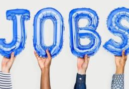 AJOFM Botoșani: Locuri de muncă vacante în Uniunea Europeană. Vezi detalii!