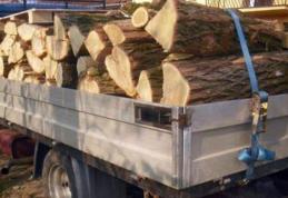 Material lemnos confiscat de către polițiști la Vlăsinești
