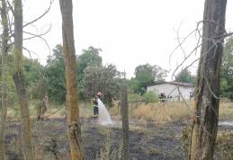 Patru case din Săveni și Santa Mare au fost cuprinse de incendii. Pompierii au intervenit