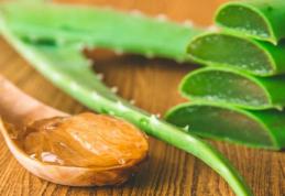 Beneficii și utilizări pentru sănătate ale Aloe Vera