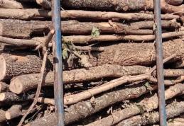 Cinci metri cubi de material lemnos confiscat de către polițiști la Mihăileni