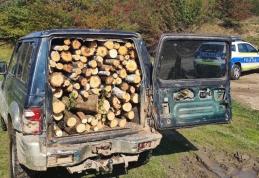 Material lemnos confiscat de către polițiști