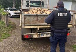 Sancțiune de 2.000 de lei și material lemnos confiscat 