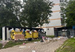 Primim la redacție – „Caut o modalitate de a mă plânge de modul în care este gestionat gunoiul în Dorohoi” – FOTO