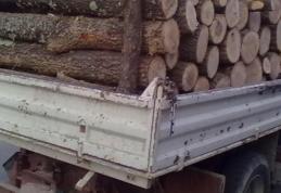 Material lemnos confiscat de către polițiști la Dorohoi