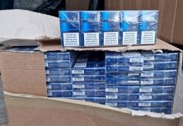 200 de țigări de contrabandă descoperite într-o acțiune pentru siguranța rutieră la Hlipiceni