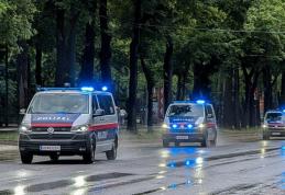 O familie de români din Austria, prinsă cu șase mașini norvegiene furate. Descoperirea a fost făcută la un control de rutină