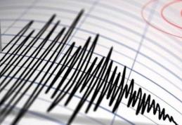 Cutremur cu magnitudinea de 4,2 pe scara Richter a avut loc în zona seismică Vrancea