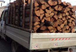 Doi bărbați sancționați pentru transport ilegal de material lemnos