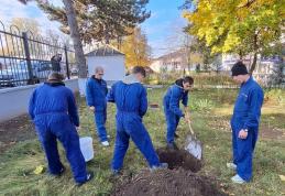 „Plantăm speranță în pământ și culoare pe hârtie” – activitate a Școlii Profesionale Speciale „Ion Pillat” Dorohoi