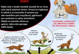 ATENȚIE! Informare privind obligațiile proprietarilor de câini și combaterea rabiei