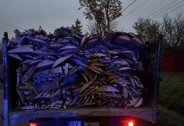 Doi metri cubi de material lemnos confiscat de poliţiştii dorohoieni